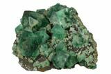 Fluorite Crystal Cluster - Rogerley Mine #143059-2